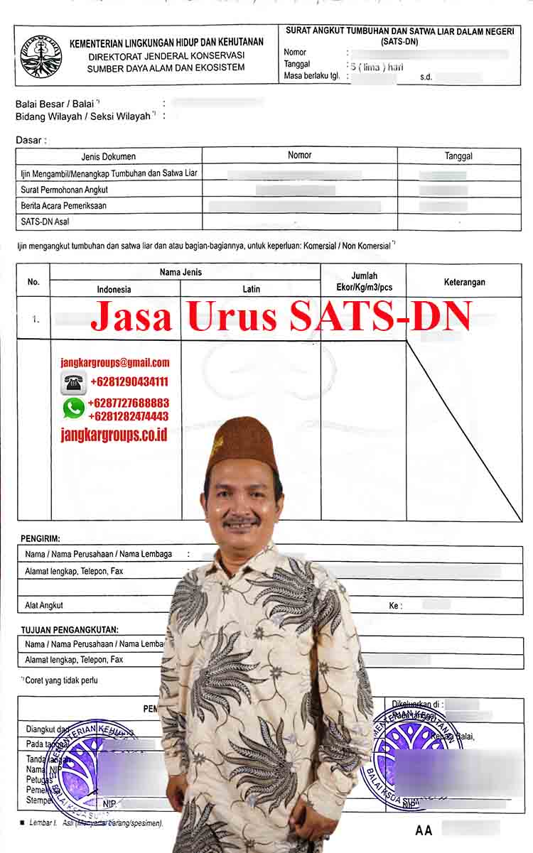 Contoh SATS DN