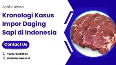 Kronologi Kasus Impor Daging Sapi di Indonesia