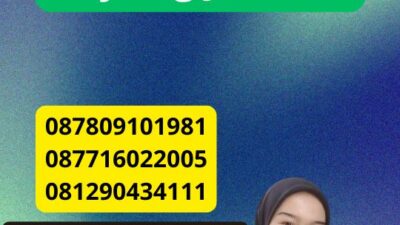 Jasa Penerjemah Tersumpah Pulau Payung Jakarta