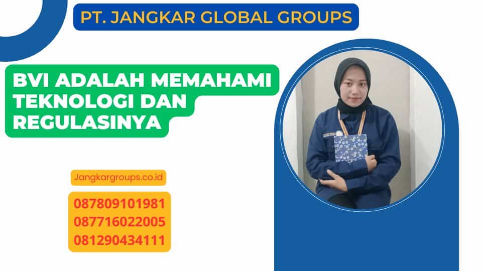 BVI Adalah Memahami Teknologi dan Regulasinya