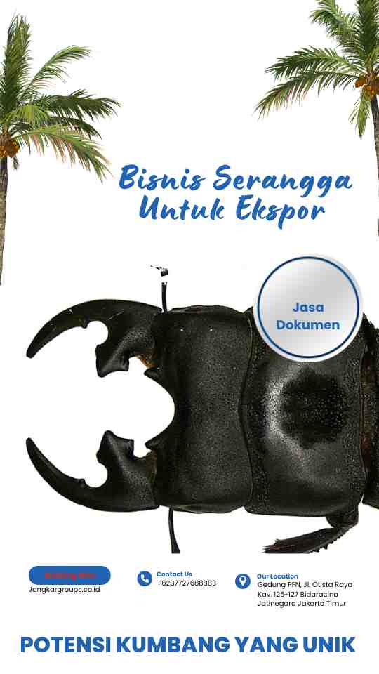 Bisnis Serangga Untuk Ekspor Potensi Kumbang Yang Unik