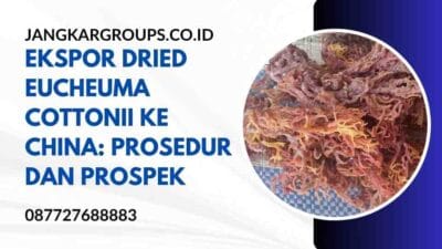 Ekspor Dried Eucheuma Cottonii ke China: Prosedur dan Prospek