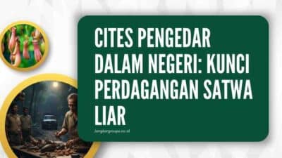 CITES Pengedar Dalam Negeri Kunci Perdagangan Satwa Liar