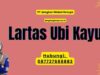 Lartas Ubi Kayu