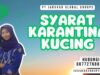 Syarat Karantina Kucing