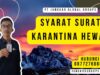 Syarat Surat Karantina Hewan