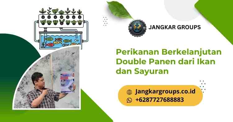 Perikanan Berkelanjutan Double Panen dari Ikan dan Sayuran