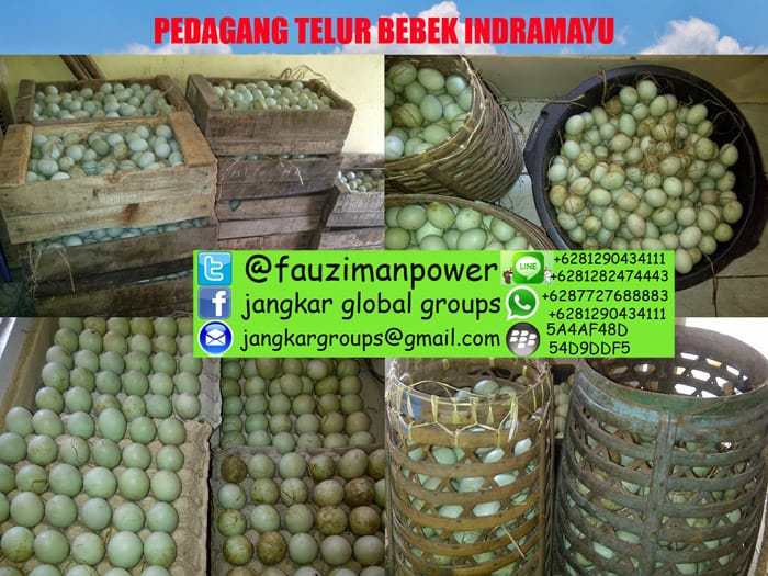 Pedagang Telor Asin Dan Telur Ayam