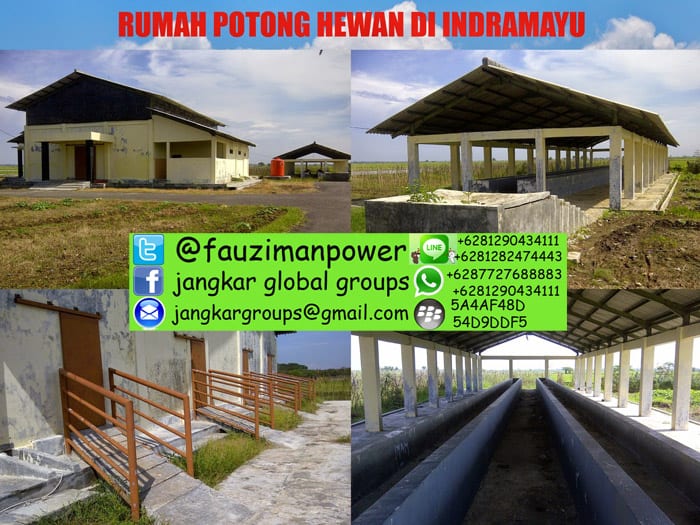 rumah potong hewan di indramayu