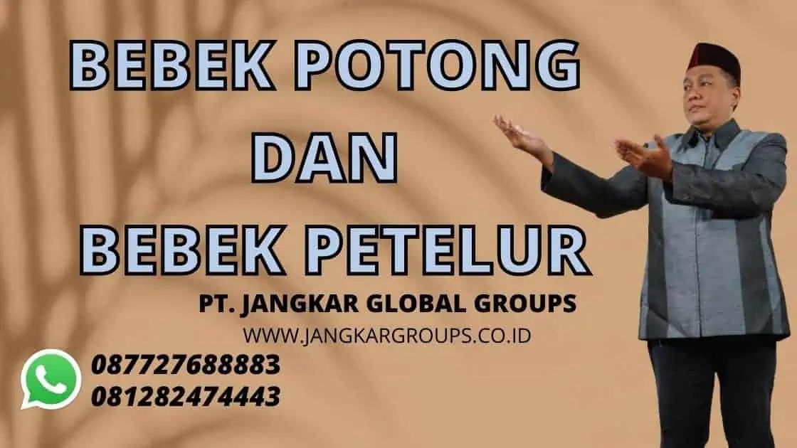 BEBEK POTONG DAN BEBEK PETELUR