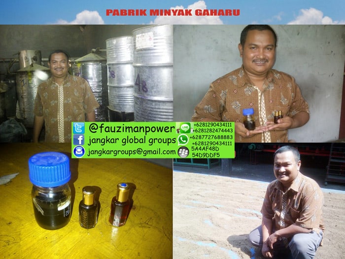 pabrik minyak gaharu agarwood