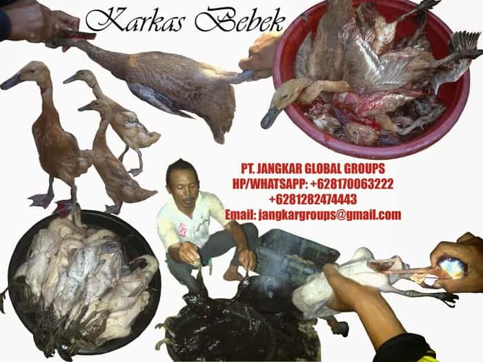 jual beli karkas bebek