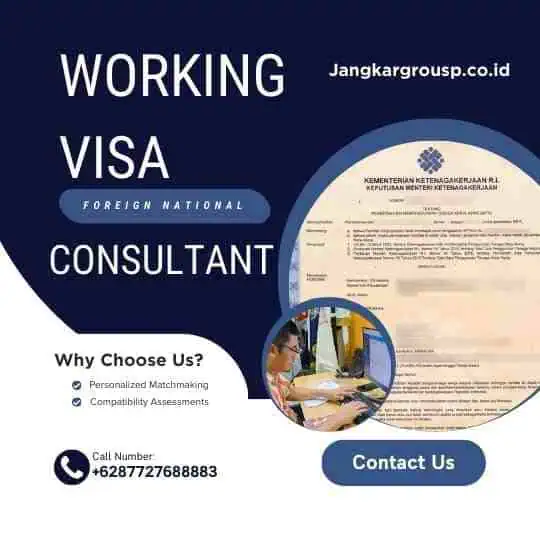 Working Visa Consultant