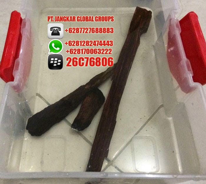 Gaharu super oud agarwood