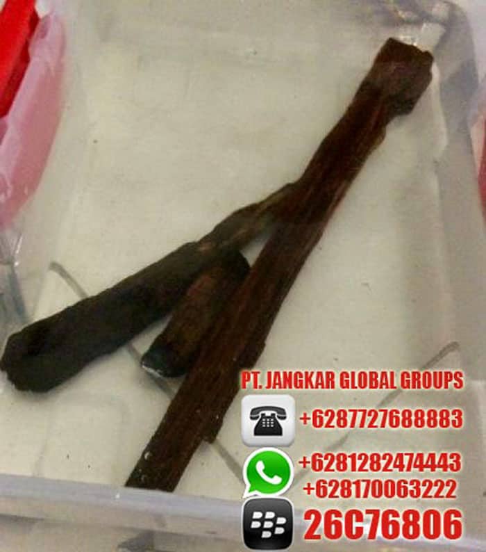 Gaharu super oud agarwood