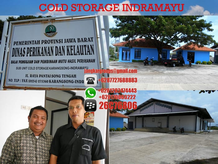 cold storage indramayu