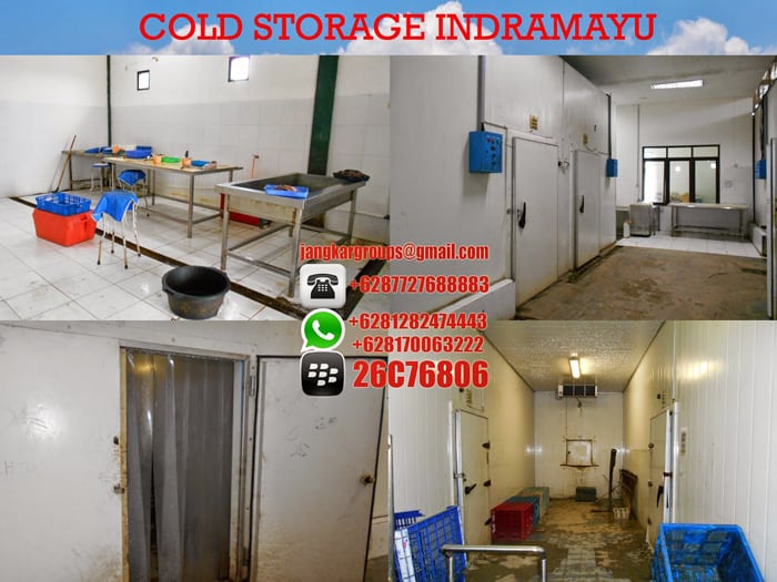 COLD STORAGE INDRAMAYU