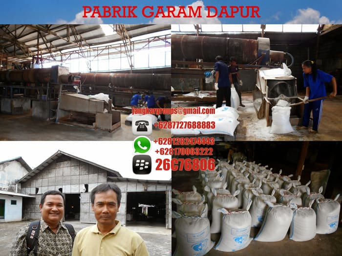 pabrik garam dapur 555