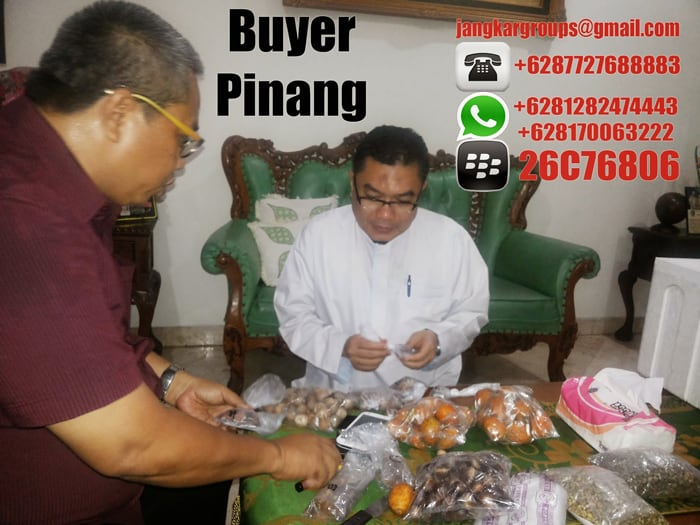 jual beli pinang buyer pinang