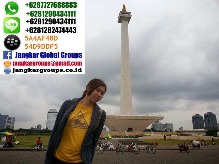 monas nomer id tki mandiri