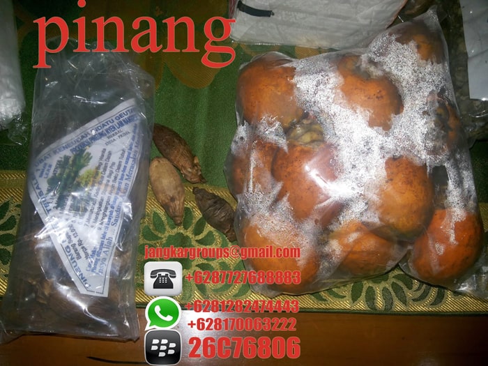 jual beli pinang