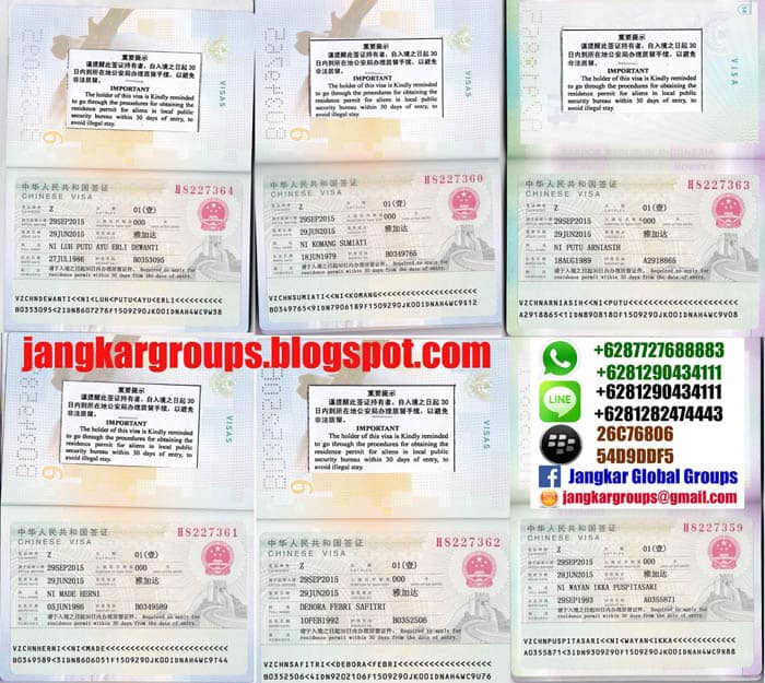 jasa visa kerja china