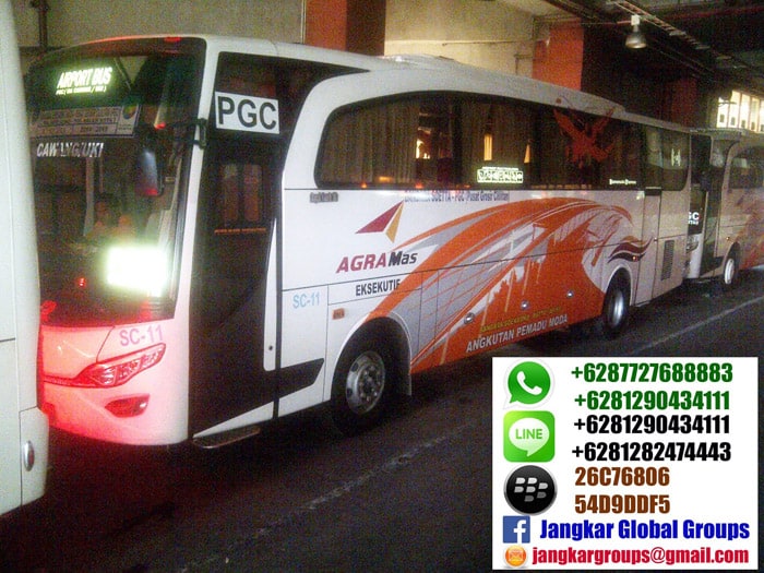 bus agra mas airport