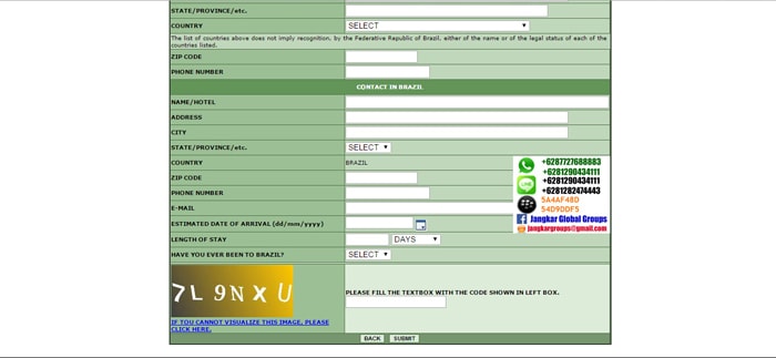 form-visa-brazil5, VISA KERJA BRAZIL