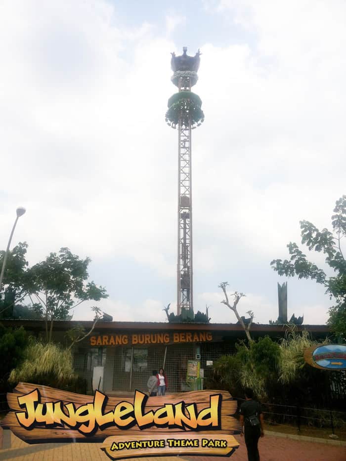 sarang burung berang jungleland