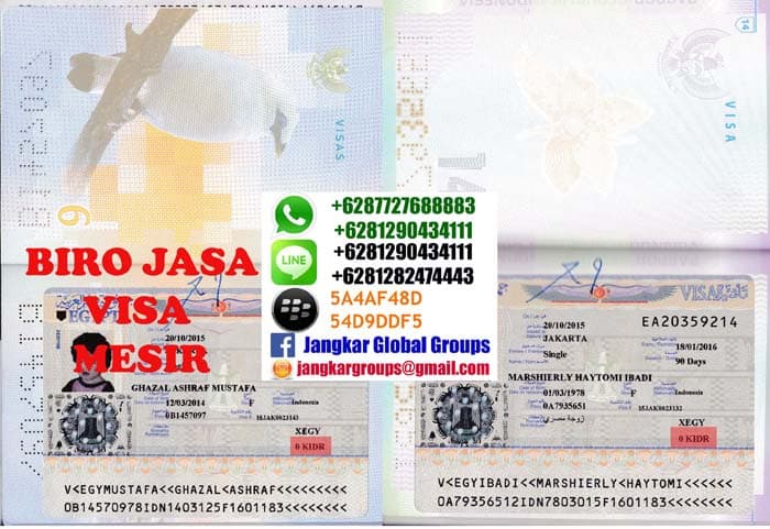 visa-mesir