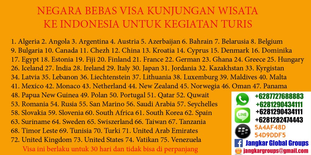 visa kunjungan diantaranya