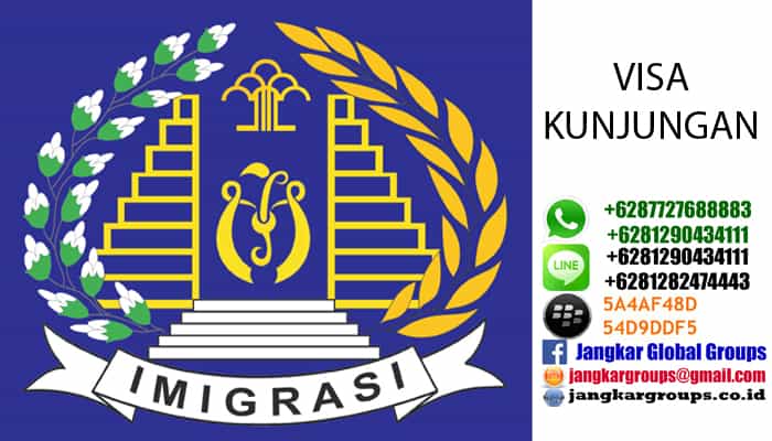 visa kunjungan