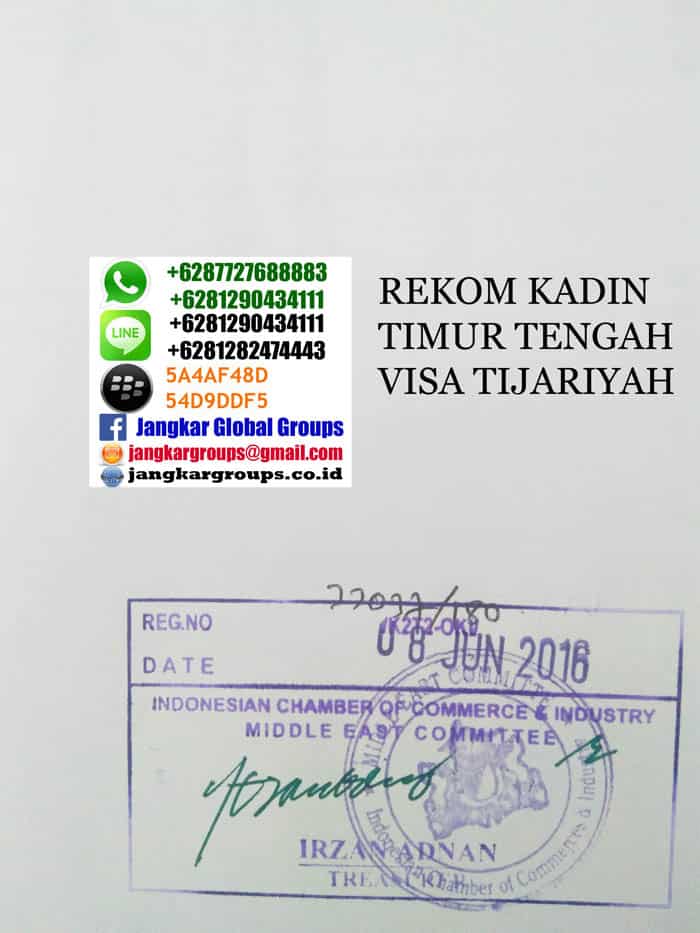 rekom-kadin-timteng