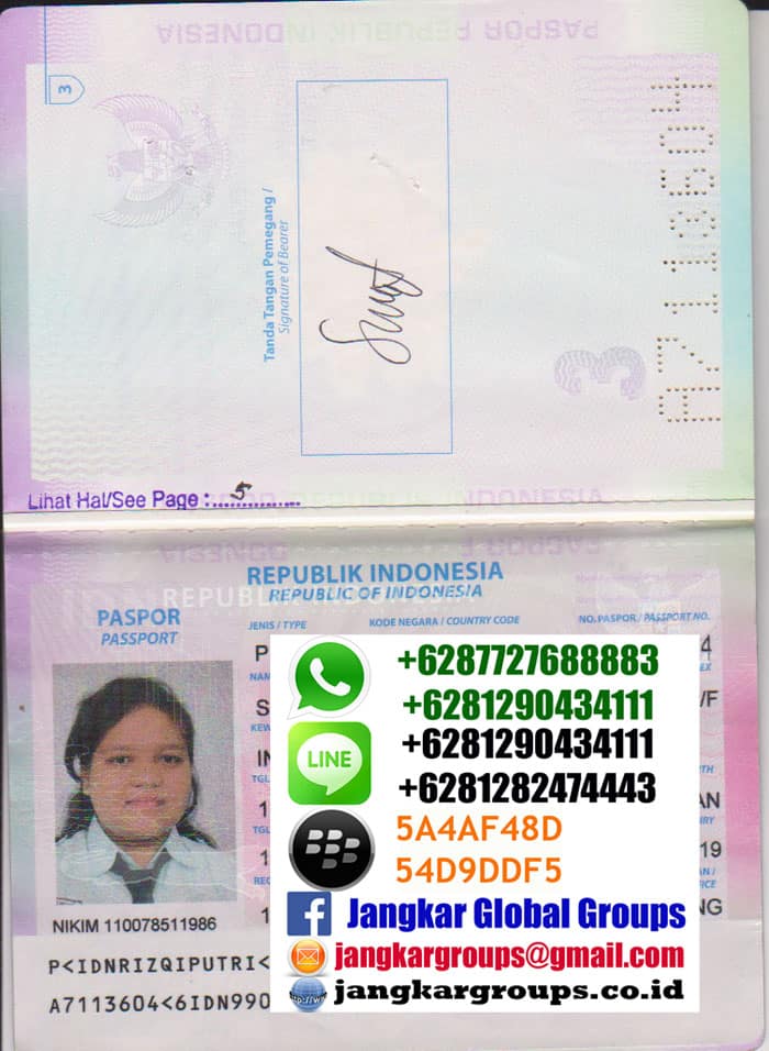 passport1,Pertukaran pelajar AFS Turki