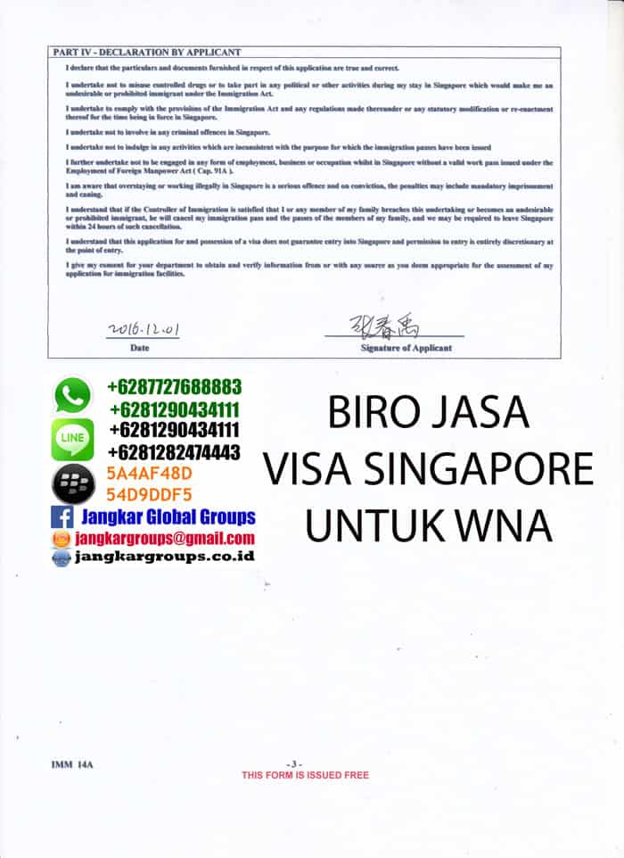 VISA SINGAPORE UNTUK WARGA CHINA