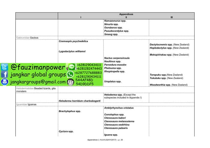 tumbuhan satwa liar cites Appendices 2017-A_035