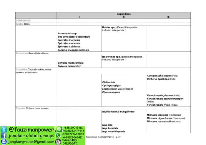 tumbuhan satwa liar cites Appendices 2017-A_037