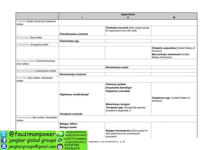 tumbuhan satwa liar cites Appendices 2017-A_039