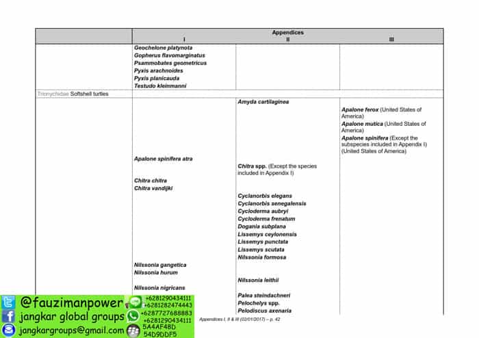 tumbuhan satwa liar cites Appendices 2017-A_042