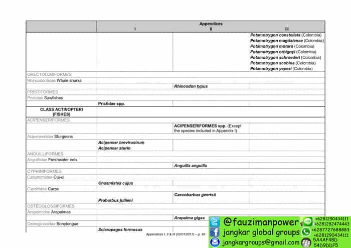 tumbuhan satwa liar cites Appendices 2017-A_046