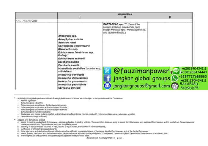 tumbuhan satwa liar cites Appendices 2017-A_055