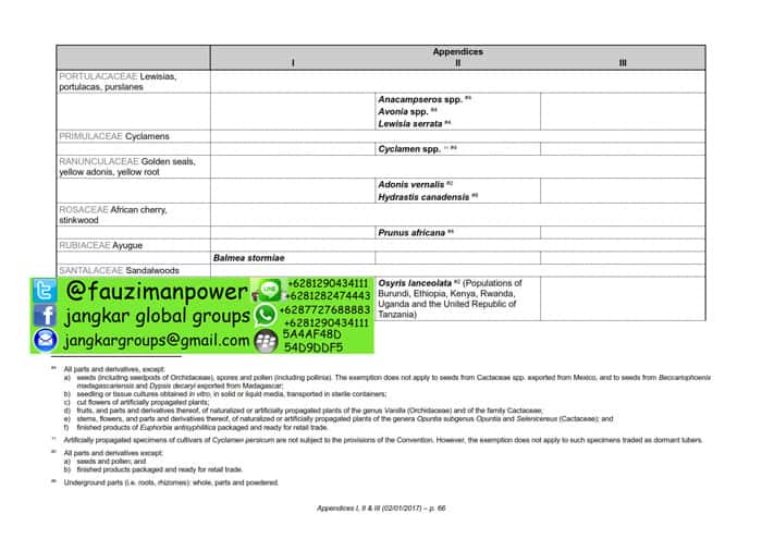 tumbuhan satwa liar cites Appendices 2017-A_066