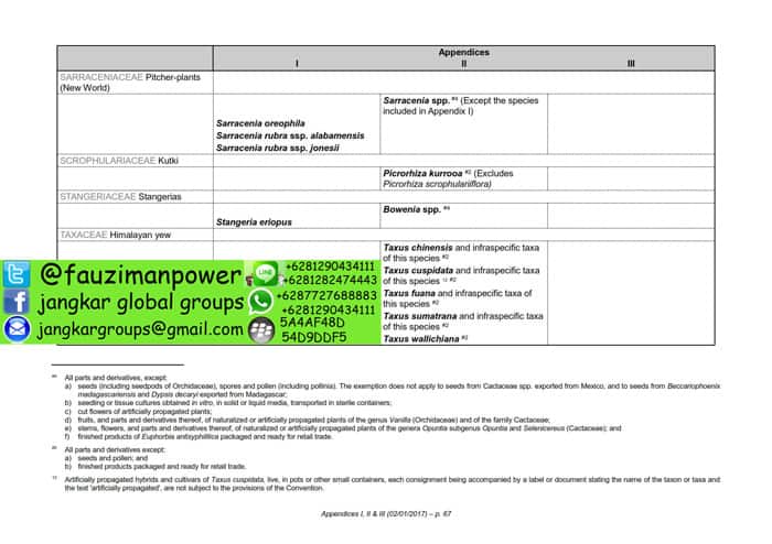 tumbuhan satwa liar cites Appendices 2017-A_067