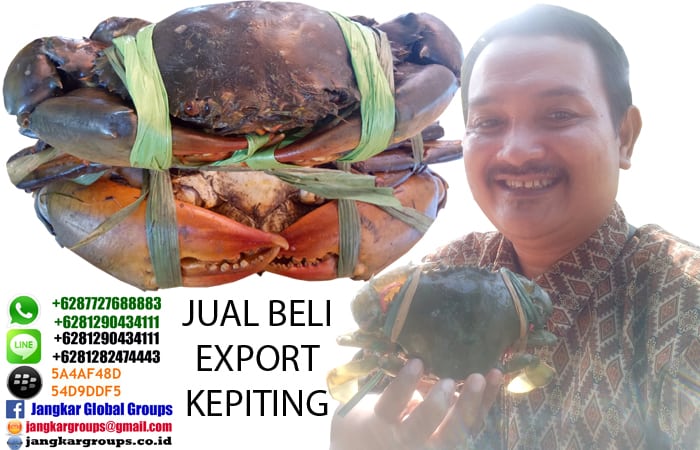 exportir jual beli kepiting jakarta