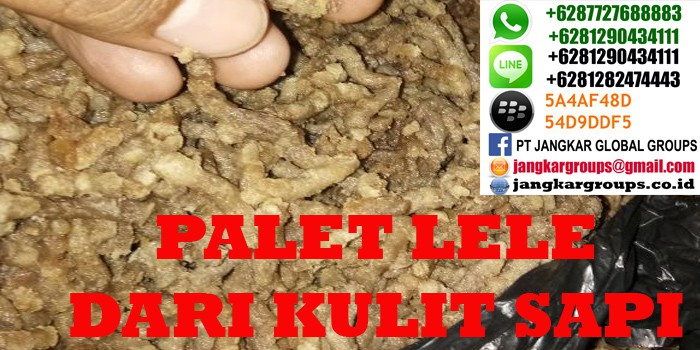 jual beli kulit sapi import