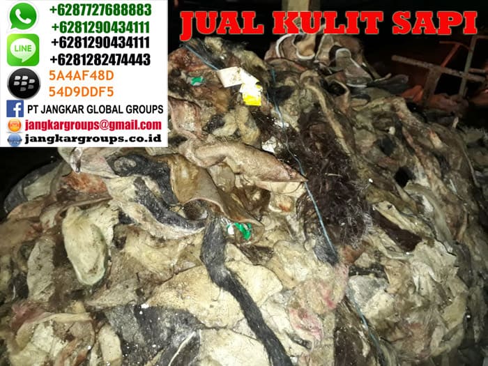 jual kulit sapi