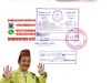 Contoh Legalisir Medical Iraq Contoh Legalisir Medical Iraq