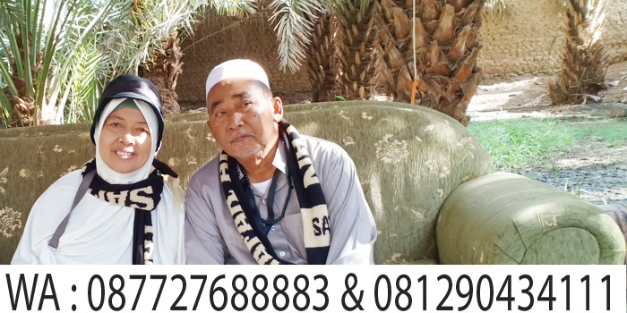 ayah dan ibu di kebun kurma madinah, city tour madinah safar