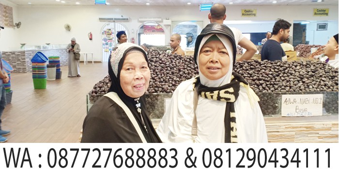 belanja kurma di kebun kurma madinah, city tour madinah safar