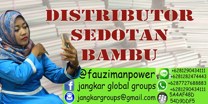 DISTRIBUTOR SEDOTAN BAMBU